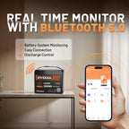 Humsienk 12V 100Ah Bluetooth LiFePO4 Battery with Smart App for Solar